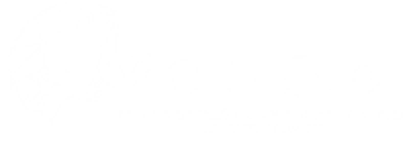 CEFEIN